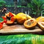 Papaya Sunrise – Bild 4