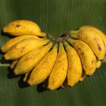 Banane Ambul