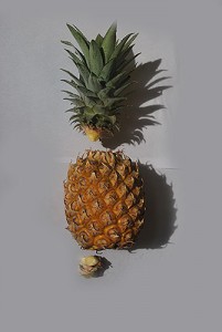 ananas_ersatzteile