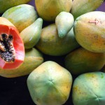 Papaya Ratna – Bild 9
