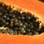 Papaya Red Lady – Bild 6