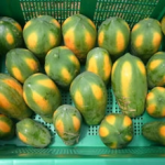 Papaya Red Lady – Bild 12