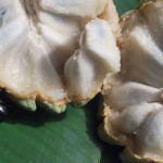 Zimtapfel – Bild 8
