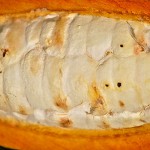 Kakaoschote – Bild 6