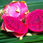 Drachenfrucht (rot) – Bild 4