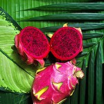 Drachenfrucht (rot) – Bild 5
