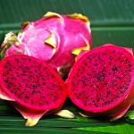 Drachenfrucht (rot) – Bild 6