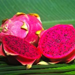Drachenfrucht (rot) – Bild 7