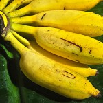 Banane Suwandel – Bild 5