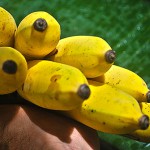 Banane Suwandel – Bild 4