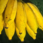 Banane Suwandel – Bild 3