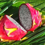 Drachenfrucht (weiß) – Bild 4