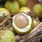 Kadugoda (säuerlich) – Bild 10