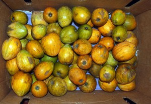 lawulu
