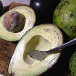 Avocado (wild) – Bild 4
