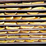 Banane Sini, getr. (200g) eigener Anbau – Bild 4