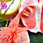 Pomelo, wild (1 geschälte Frucht, ab 500g) – Bild 8