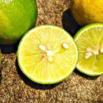 Limette (wild) 500g – Bild 6