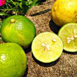 Limette (wild) 500g – Bild 7