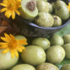 Ceylon Olive (Weralu) – Bild 5