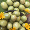 Ceylon Olive (Weralu) – Bild 2