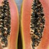 Papaya Wega NEU! – Bild 3