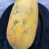 Papaya Wega NEU! – Bild 4